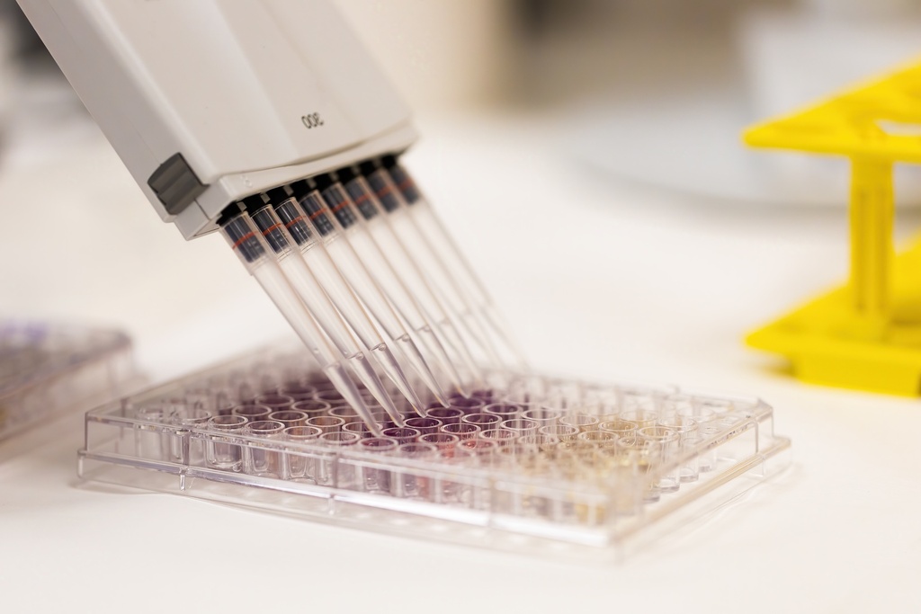 96-Well Semi-Skirted PCR Plate Yellow 25 plates