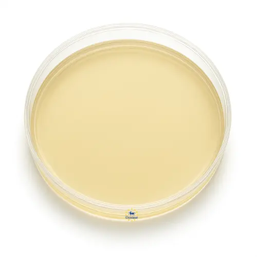 ANTIMICROBIAL SENSITIVITY TEST (AST)
